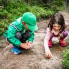 Boy and girl investigating beetles in the forest
