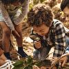 Kids in Forest Learning Wild Plant