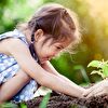 Little Girl Planting Together With Adult